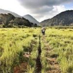 Ucz się Polaku w Londynie